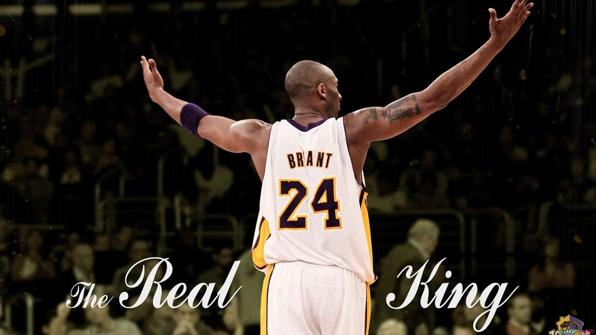 篮球球队赛季成绩总结